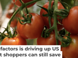 While U.S. produce prices are rising across the board, tomatoes are among the most affected. AP Photo/Marco Ugarte